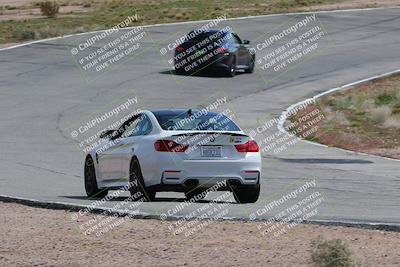 media/Mar-04-2023-West Coast Racing (Sat) [[a3f8e4c156]]/Green/Back Shots/
